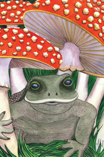 Mushrooms: Mine by Catherine G McElroy