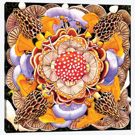 Mushroom Mandala Canvas Print #CGM149} by Catherine G McElroy Art Print