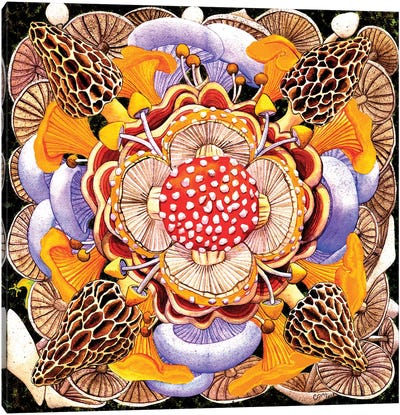 Mushroom Mandala Canvas Art Print - Mandala Art