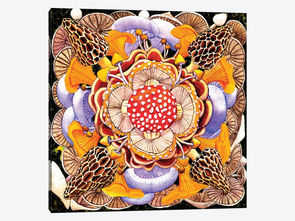 Mushroom Mandala by Catherine G McElroy 1-piece Art Print