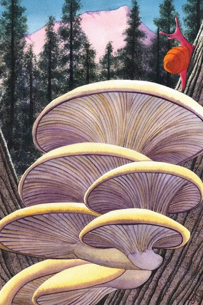 Mushrooms: Pink, Like Me by Catherine G McElroy