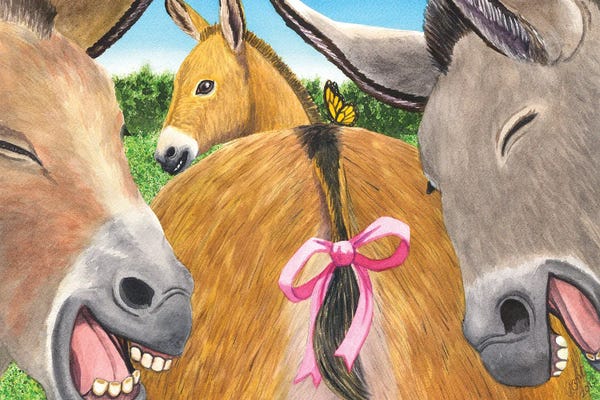 Donkeys: Bodacious! by Catherine G McElroy
