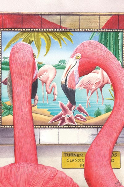 Flamingos: Classic by Catherine G McElroy