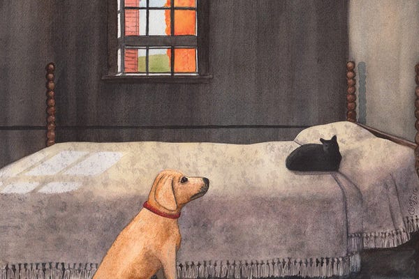 Vicarious Glimpses: Effing Cat by Catherine G McElroy