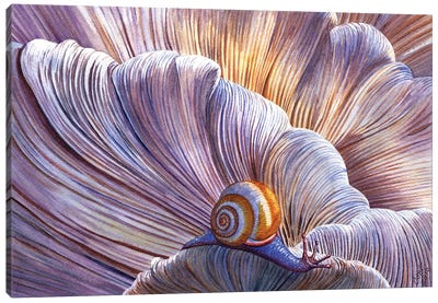 Ethereal Canvas Art Print - Snail Art
