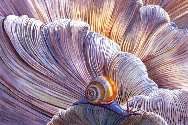 Snails: Ethereal by Catherine G McElroy