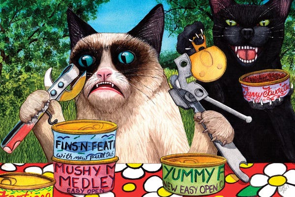 Siamese: Everything Is Just So Complicated by Catherine G McElroy