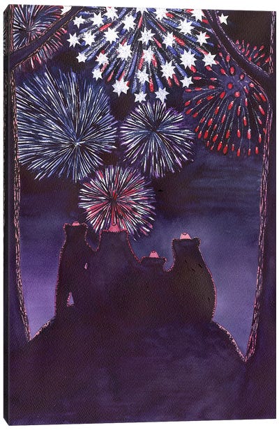 Fourth Of July Canvas Art Print - Catherine G McElroy