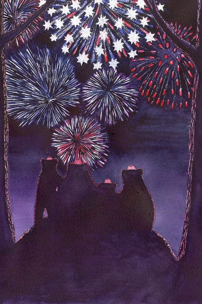 Fireworks: Fourth Of July by Catherine G McElroy