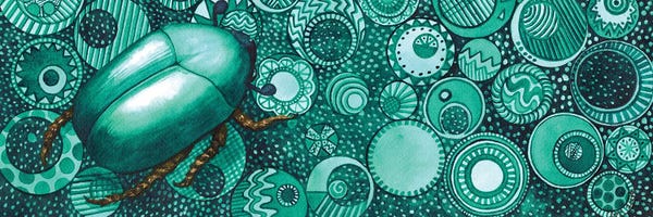 Beetles: Green Beetle by Catherine G McElroy