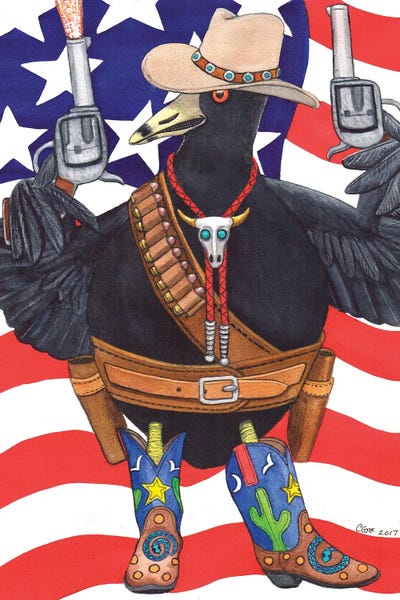 American Flags: Rootin-Tootin Coot by Catherine G McElroy