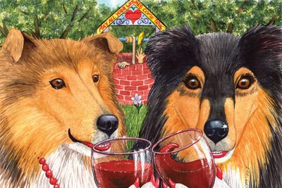 Collies