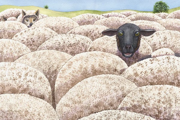 Sheep: I Fear There May Be Wolves Amongst Us by Catherine G McElroy