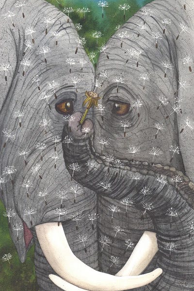 Dandelions: May All Your Wishes Come True by Catherine G McElroy