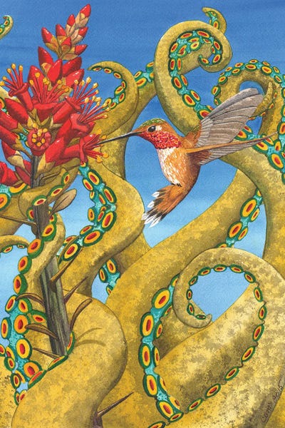 Catherine G McElroy: Ocotillo Gardens by Catherine G McElroy