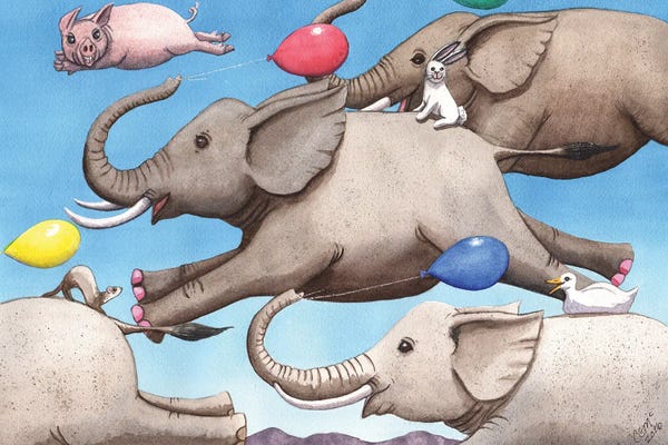 Ferrets: Only Way To Fly by Catherine G McElroy