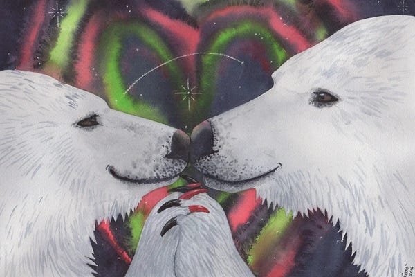 Polar Bears: Polarized by Catherine G McElroy