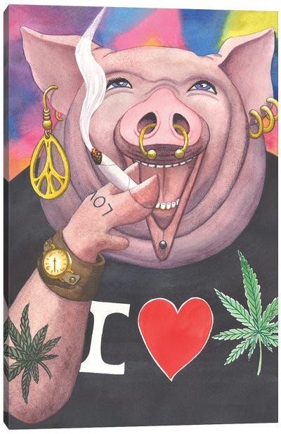 Pot Bellied Pig Canvas Art Print - Marijuana Art