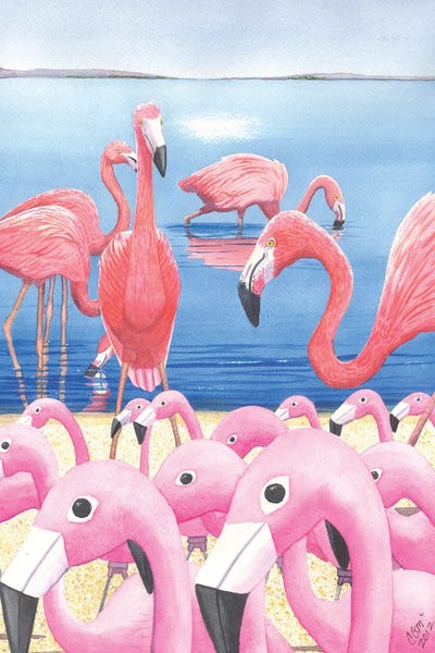 Flamingos: Preposterous! by Catherine G McElroy