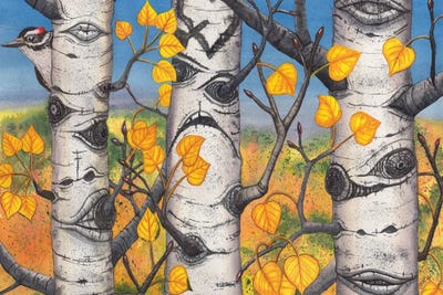 Quakers by Catherine G McElroy canvas print