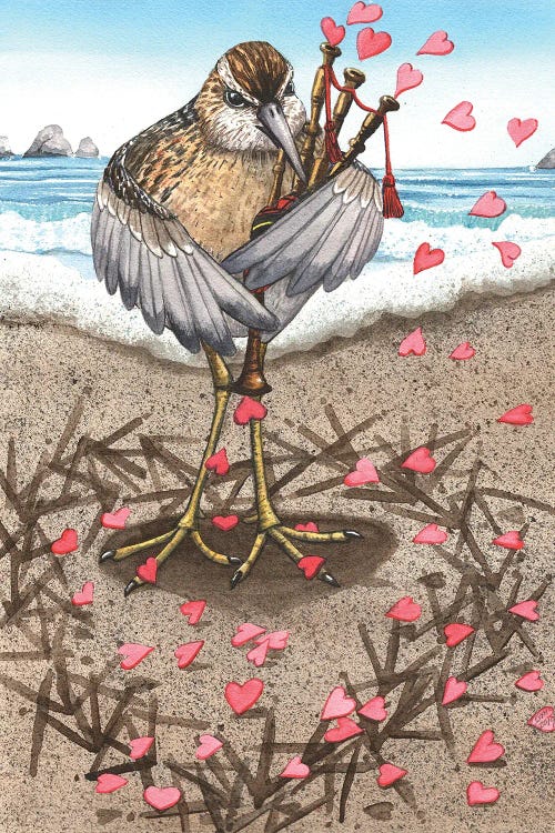 Sandpiper by Catherine G McElroy wall art