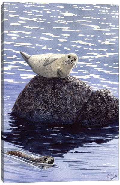 Show Off Canvas Art Print - Seal Art