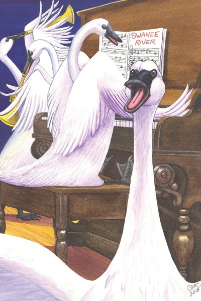 Catherine G McElroy: Swan Song by Catherine G McElroy