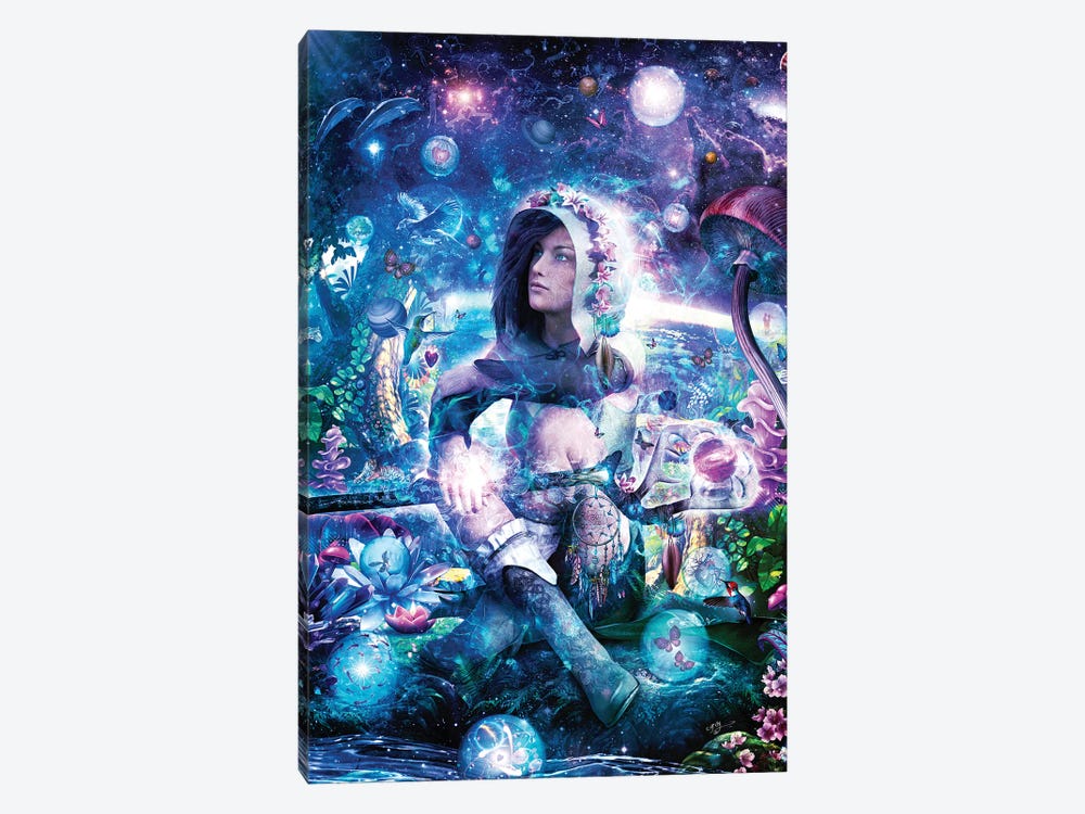 Observing Our Celestial Synergy by Cameron Gray 1-piece Canvas Wall Art