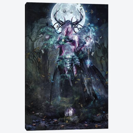 The Dreamcatcher Canvas Print #CGR21} by Cameron Gray Canvas Art