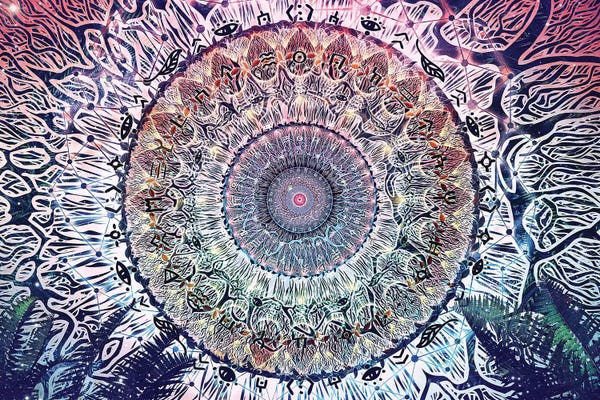 Mandalas: Waiting Bliss by Cameron Gray