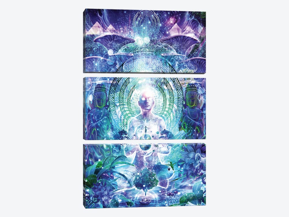 Observers Of The Sky by Cameron Gray 3-piece Canvas Print