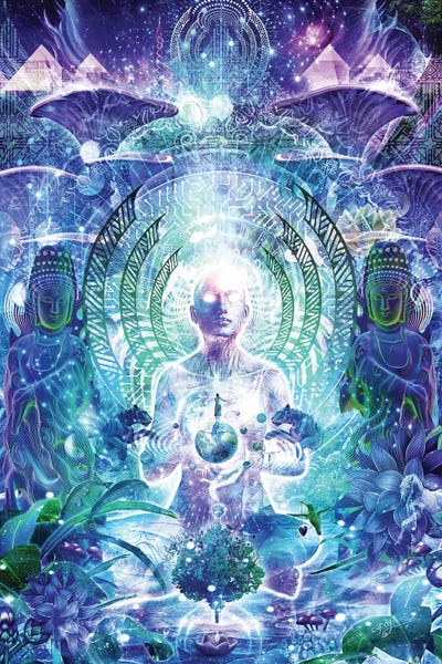 Psychedelic: Observers Of The Sky by Cameron Gray