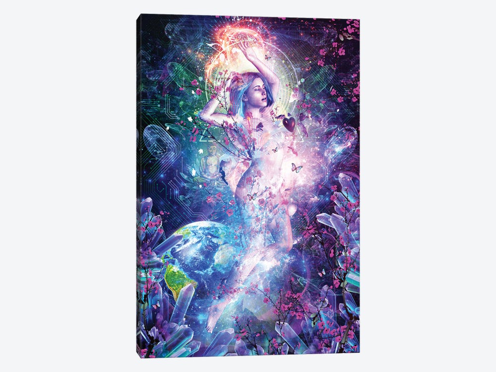 Encounter With The Sublime by Cameron Gray 1-piece Canvas Art Print