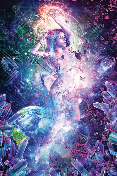 Blossoms: Encounter With The Sublime by Cameron Gray
