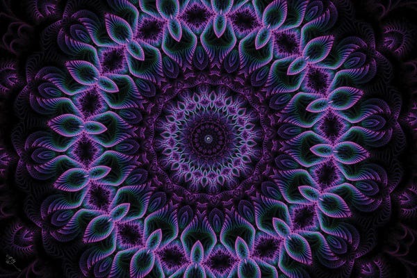 Cameron Gray: Silence In An Infinite Moment by Cameron Gray