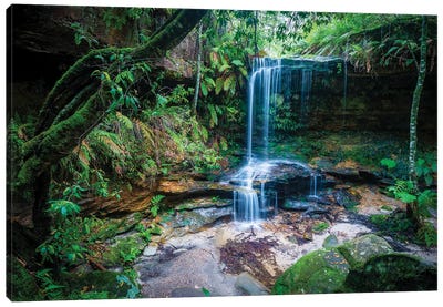 Burgess Falls, Blue Mountains, Australia Canvas Art Print - New South Wales Art