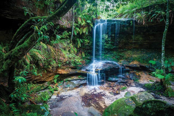 Waterfalls: Burgess Falls, Blue Mountains, Australia by Cameron Gray