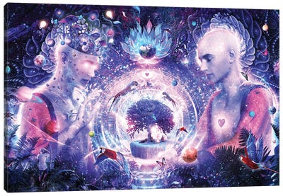 A Spark In The Universe Canvas Art Print - Cameron Gray