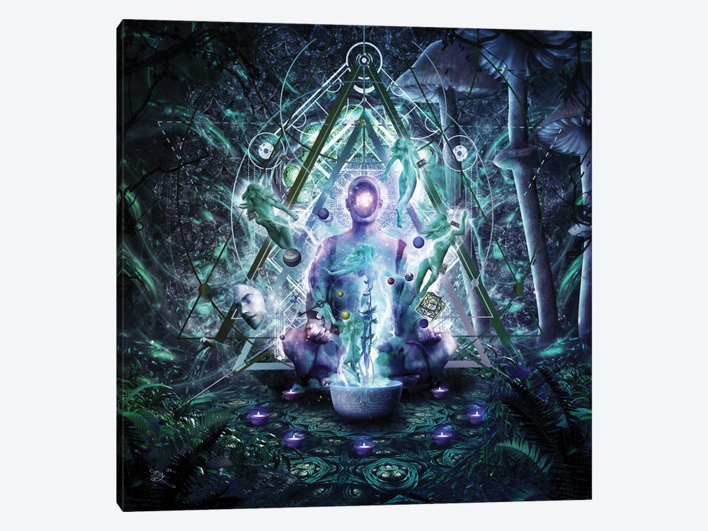 Cleansing The Self by Cameron Gray 1-piece Canvas Artwork