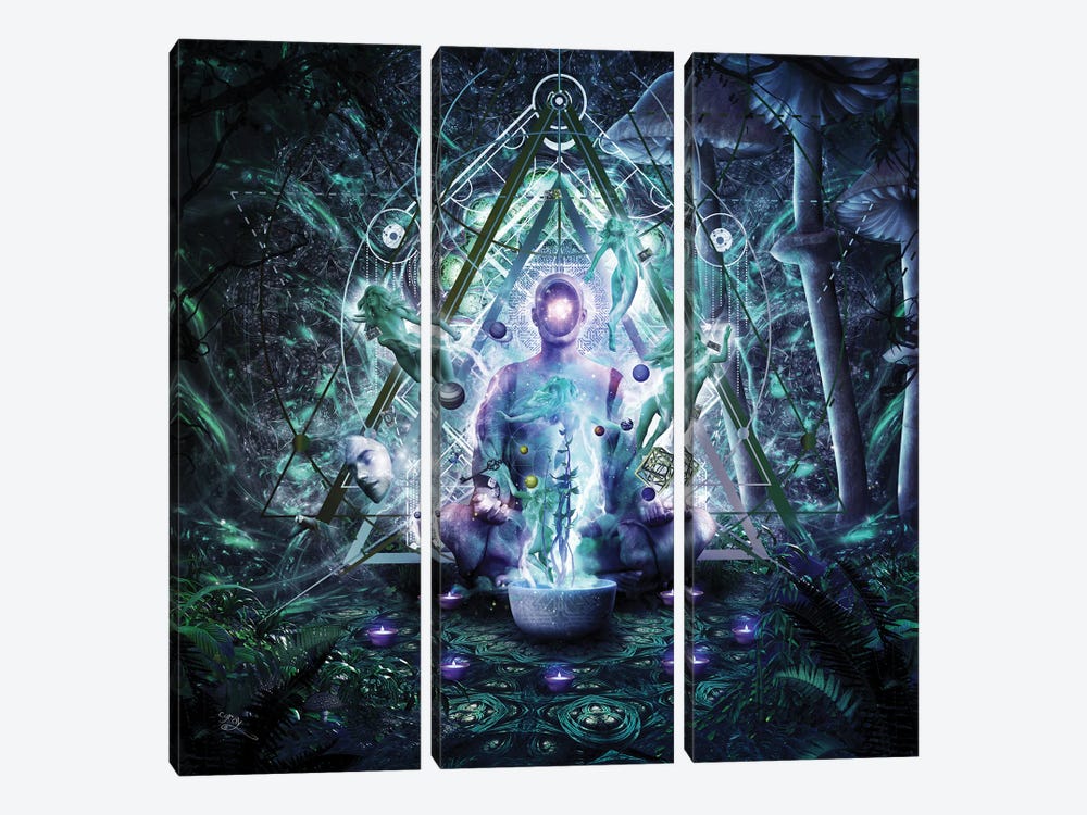 Cleansing The Self by Cameron Gray 3-piece Canvas Artwork