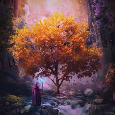 Woodland Realm by Cameron Gray metal wall art