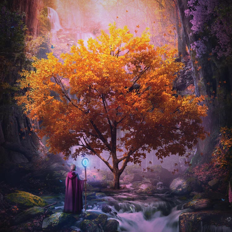 Woodland Realm by Cameron Gray wall art