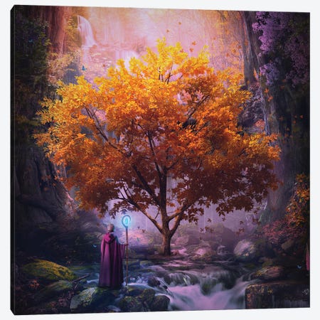 Woodland Realm Canvas Print #CGR77} by Cameron Gray Canvas Art