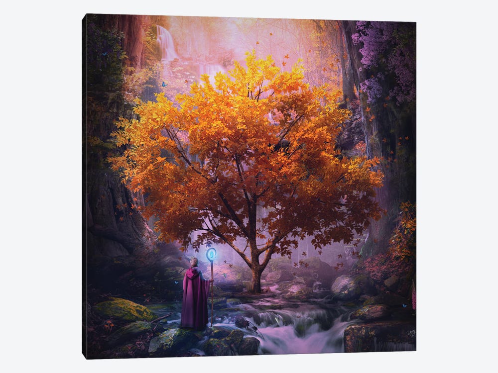 Woodland Realm by Cameron Gray 1-piece Canvas Print