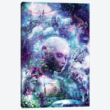 Discovering The Cosmic Consciousness Canvas Print #CGR7} by Cameron Gray Canvas Artwork