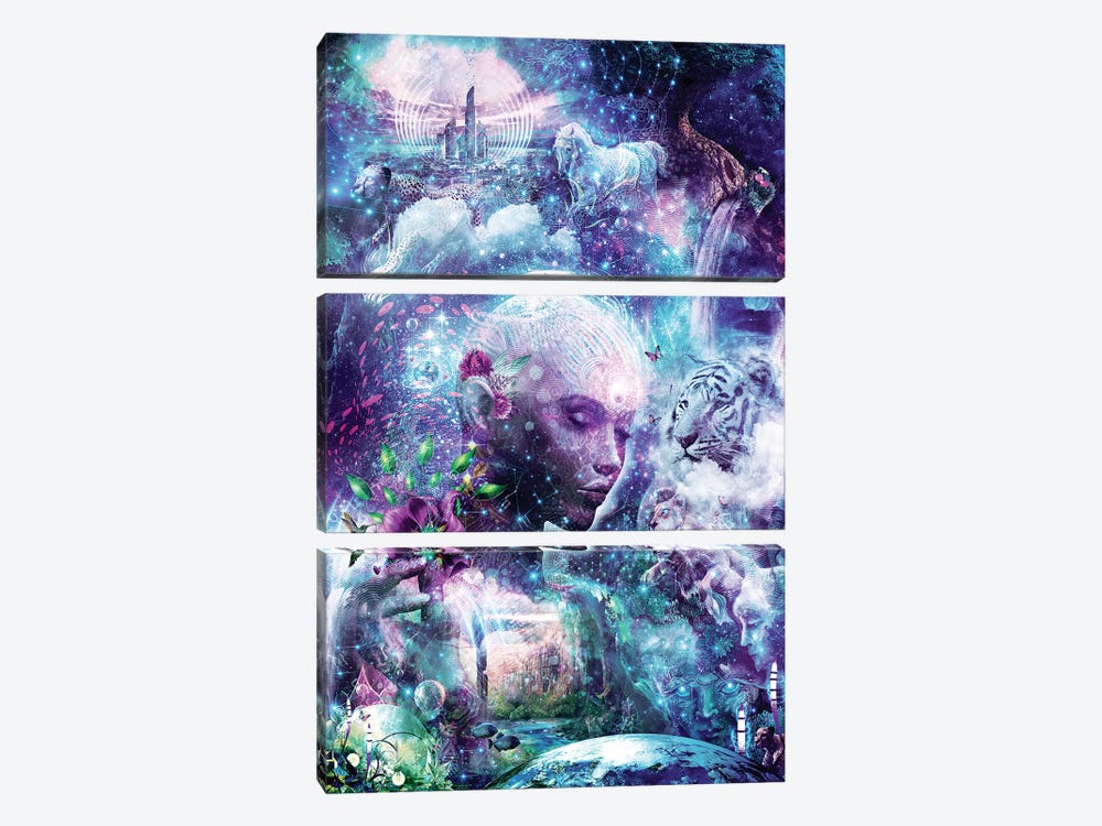 Discovering The Cosmic Consciousness by Cameron Gray 3-piece Art Print