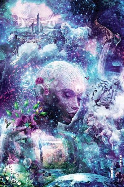 Cyberpunk: Discovering The Cosmic Consciousness by Cameron Gray