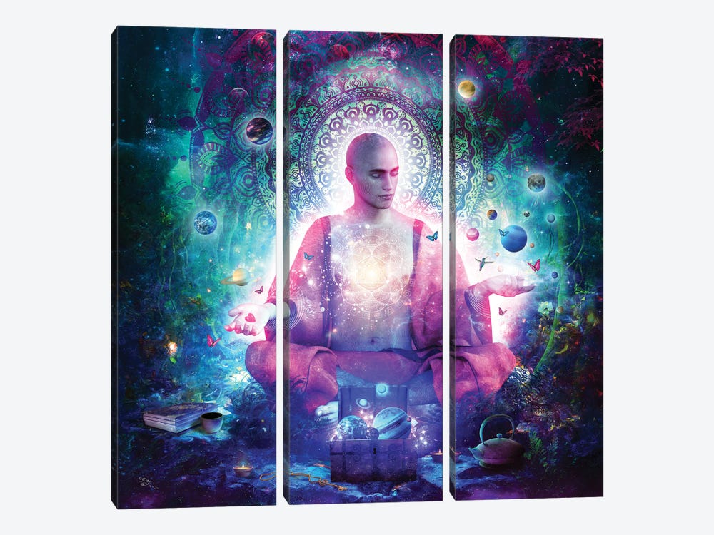 Mindfulness by Cameron Gray 3-piece Canvas Art