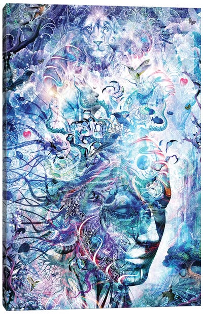 Dreams Of Unity Canvas Art Print - Psychedelic & Trippy Art