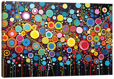 Festival Of Color And Lights Canvas Art Print - Cameron Gray